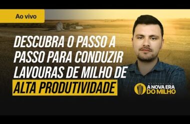 Masterclass – O passo a passo para uma lavoura de MILHO de alta produtividade