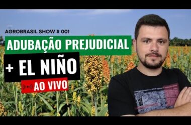 Quando a adubação é prejudicial para o solo + El Niño 2024 AgroBrasil Show #001