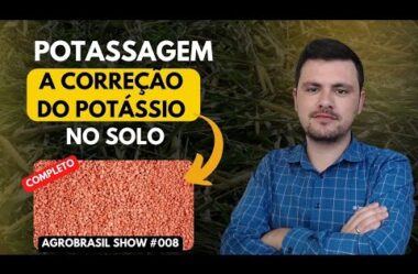 Aula 02 – A fundação de lavoura de soja de Alta Produção – Semana da Produção de Soja