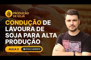 Aula 03 – Condução de Lavoura de Soja de Alta produção – Semana da Produção de Soja