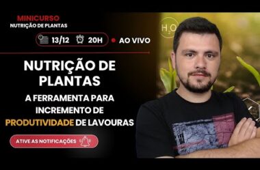 Minicurso Nutrição de Plantas: A ferramenta para incremento de produtividade de lavouras