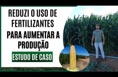 Eu reduzi o gasto com adubos e Praticamente dobrei a Produção –  Cleber de Lacoleta – Estudo de caso