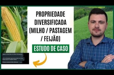 Veja o que foi feito nessa PROPRIEDADE que diversificou muito a produção