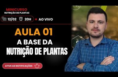 Aula 01 – A base da Nutrição de Plantas – Minicurso de Nutrição de Plantas