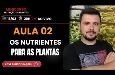 Aula 02 – Os Nutrientes para as plantas – Minicurso de Nutrição de Plantas