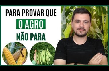 Para provar que o Agro não para – Minicurso de Nutrição de Plantas no carnaval