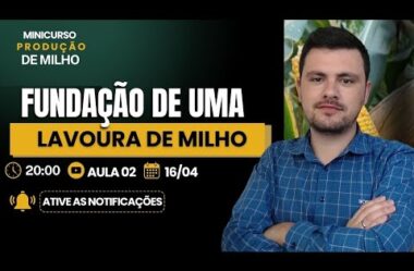 Aula 02 – O Funcionamento de uma lavoura de Milho – Minicurso de Produção de Milho