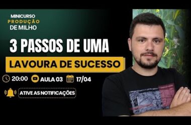 Aula 03 – 3 Passos de uma lavoura de Sucesso – Minicurso de Produção de Milho