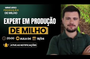 Aula 04 – O Expert em Produção de Milho – Minicurso Produção de Milho