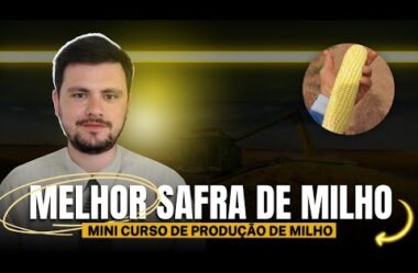 Informações sobre o MINI CURSO de PRODUÇÃO DE MILHO