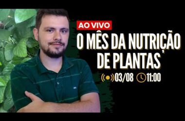 O mês da nutrição de plantas – Esquenta Minicurso de Nutrição de Plantas