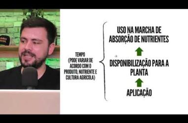 Vai aplicar CALCÁRIO OU ADUBO? Época é mais importante do que dose!