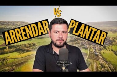Plantar  VS Arrendar, qual é melhor?