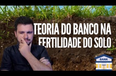 TEORIA DO BANCO NA FERTILIDADE DO SOLO