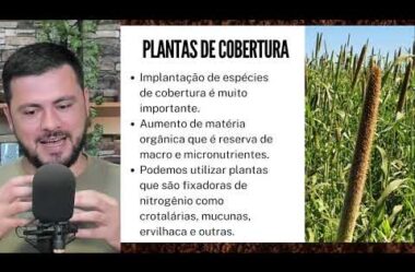PROCEDIMENTOS DE PREPARO DE ÁREA PARA PLANTIO DE SOJA