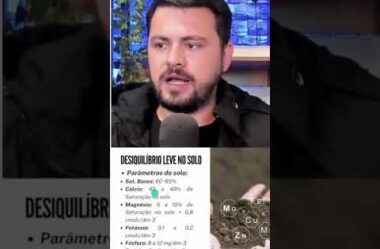 Parâmetros de fertilidade do solo para produção de milho #adubação #agro #agricultura