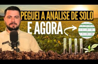 Peguei a analise de solo o que faço agora ?