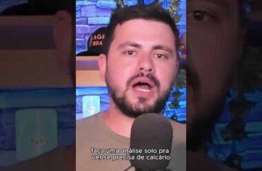 Adubação padrão = prejuízo #adubação #agro #analisedesolo