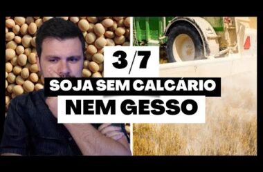 Série Soja: Não faça calcário e gesso sem necessidade