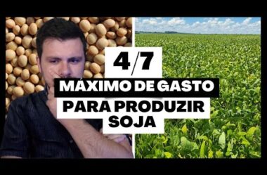 Série Soja: Limite os gastos para produzir SOJA