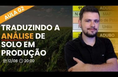 Aula 02 – Traduzindo a ANÁLISE DE SOLO em produção