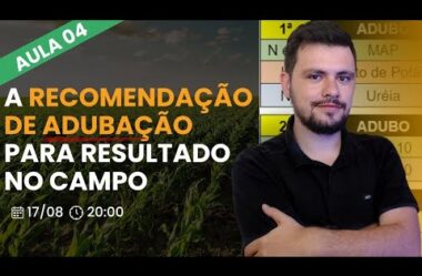 Aula 04 – A RECOMENDAÇÃO DE ADUBAÇÃO para resultado no campo