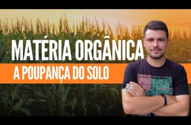 MATÉRIA ORGANICA:  a poupança do solo