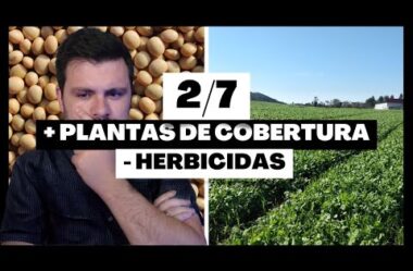 Série Soja: Reduza as aplicações de herbicidas na soja