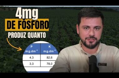 4 mg de fosforo para para produzir quanto