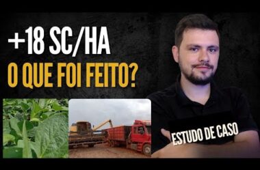 ESTUDO DE CASO  +18Sc/ha de Soja com nutrição balanceada I O que foi feito?