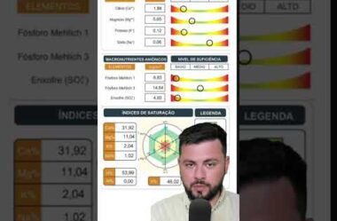 O resultado da LAVOURA DE PIMETÃO – Nutrição equilibrada com efeito na PRÁTICA