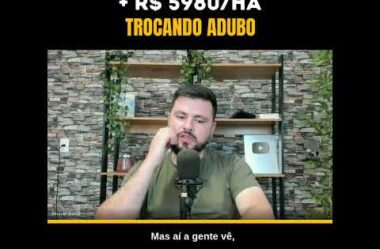 Triplicou a produção de feno fazendo ajustes na Adubação