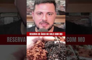 A matéria orgânica no solo retém mais água