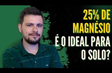 25% de Magnésio é o teor ideal do elemento?