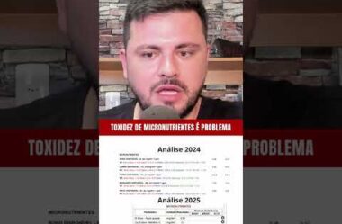 Os Micronutrientes também podem ser tóxicos para o solo e para as plantas