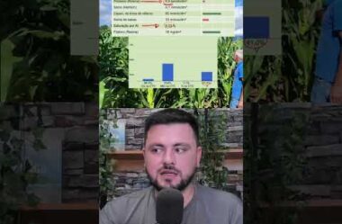 Esse produtor saiu de 30 para 45 ton/ha de silagem analisando esses pontos do seu solo