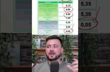 Aumentou de 90 para 180 ton/alq a produção de silagem