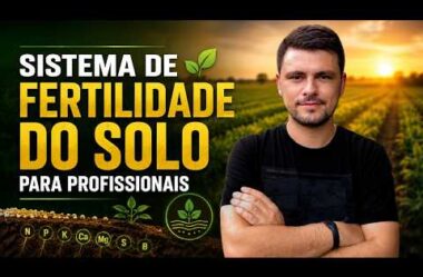 Sistema de Fertilidade do solo para profissionais