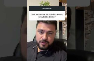 Alumínio no solo e na planta