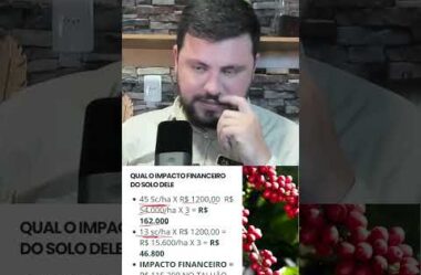 Um dos piores solos que eu já vi em que o produtor está perdendo dinheiro