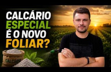 Calcário Especial é o novo Foliar?