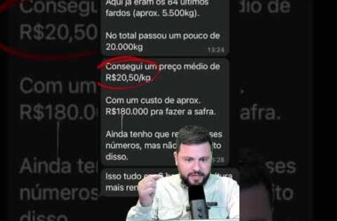 Área de Tabaco com alta produtividade