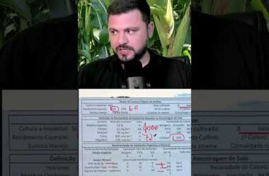 Essa foi a recomendação passada para um pequeno produtor