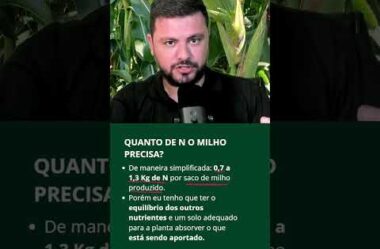 Quantos Kgs de N eu preciso para o milho