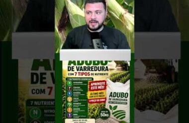 Será que vale a pena comprar o adubo de varredura?
