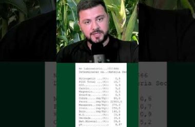 Adubos orgânicos e seus cuidados no uso